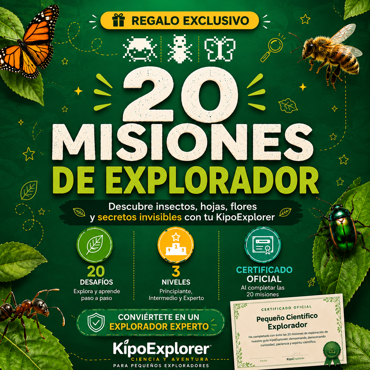 Desafío 20 Misiones de explorador